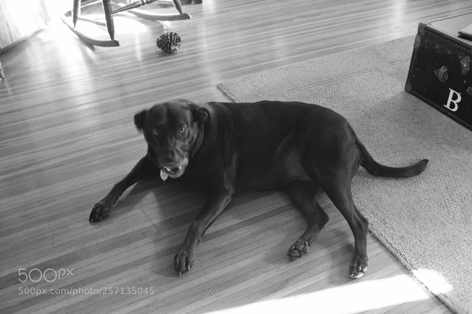 Fujifilm X100F sample photo. Maryland photography