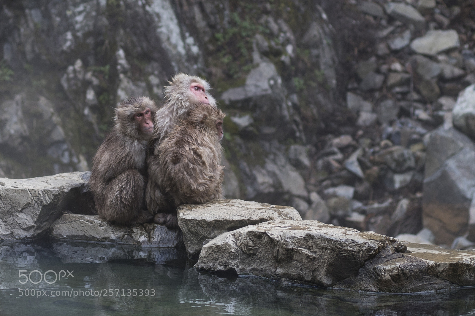Canon EOS 6D Mark II sample photo. Let's cuddle for warmth photography