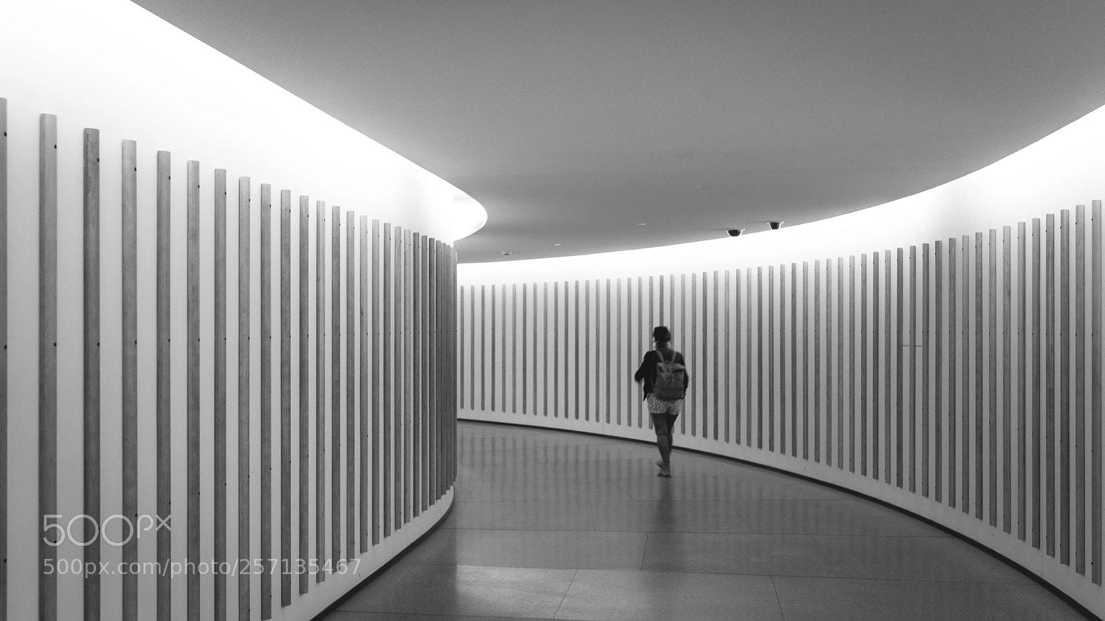 Canon EOS 6D Mark II sample photo. Img photography