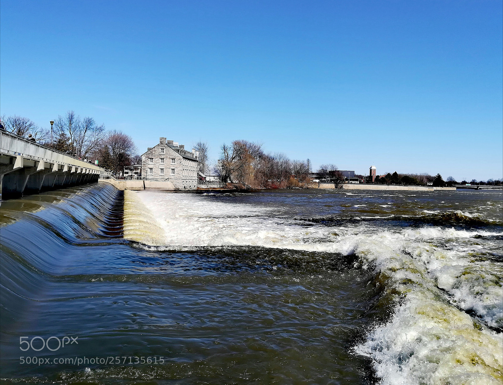 HUAWEI P10 lite sample photo. Flow... photography