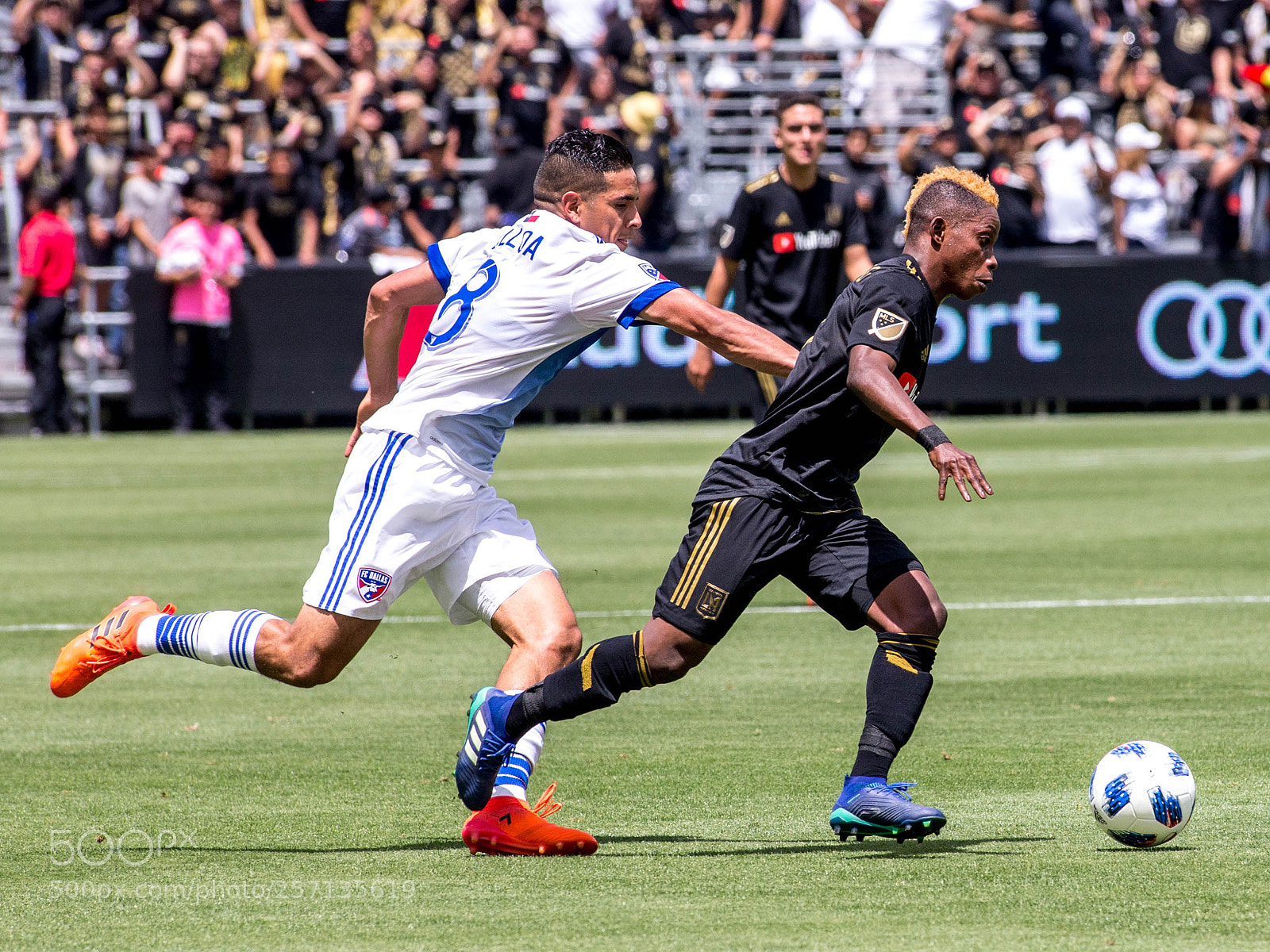 Canon EOS-1D X sample photo. Lafc soccer photography