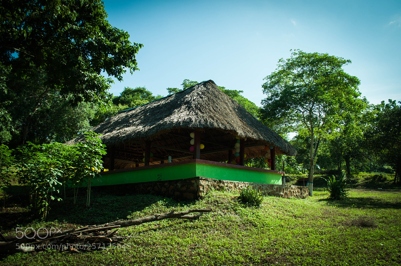 Nikon D5000 sample photo. Untitled photography