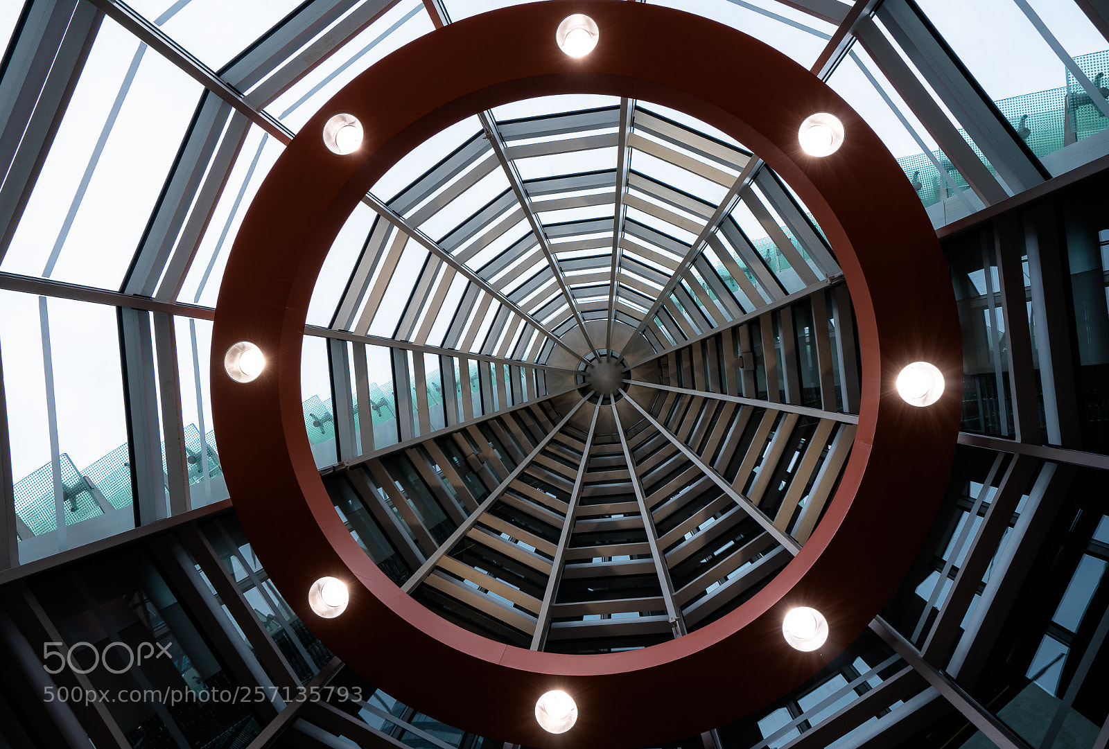 Sony a7 II sample photo. Web of life photography
