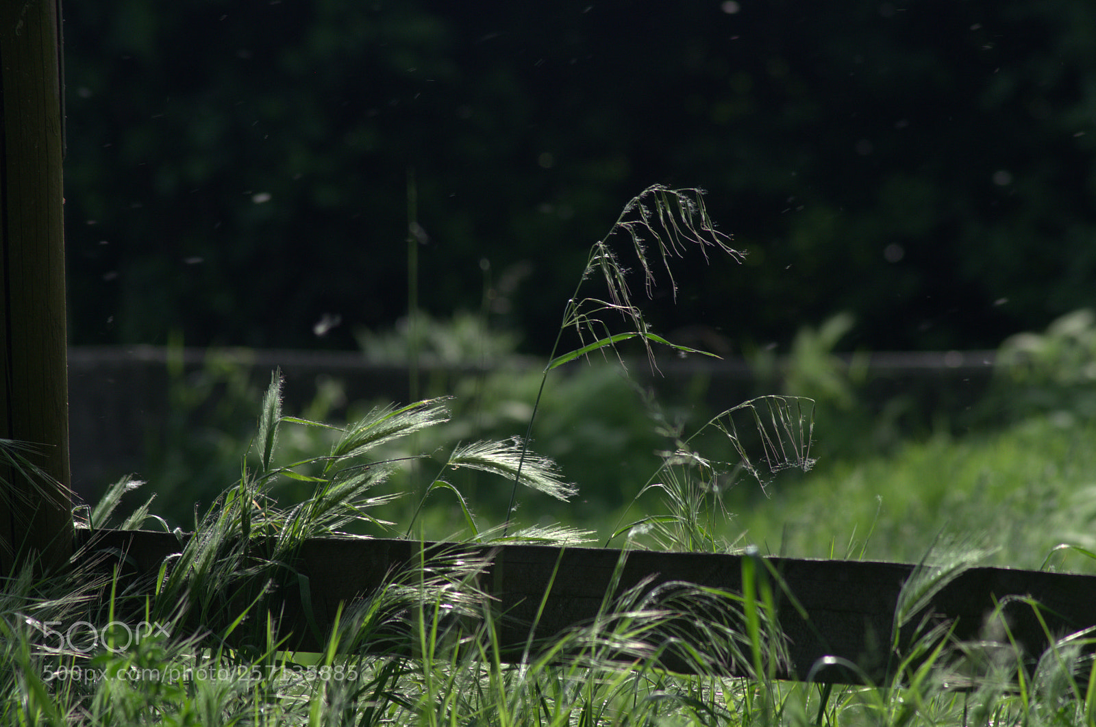Pentax K-5 sample photo. Volatile photography