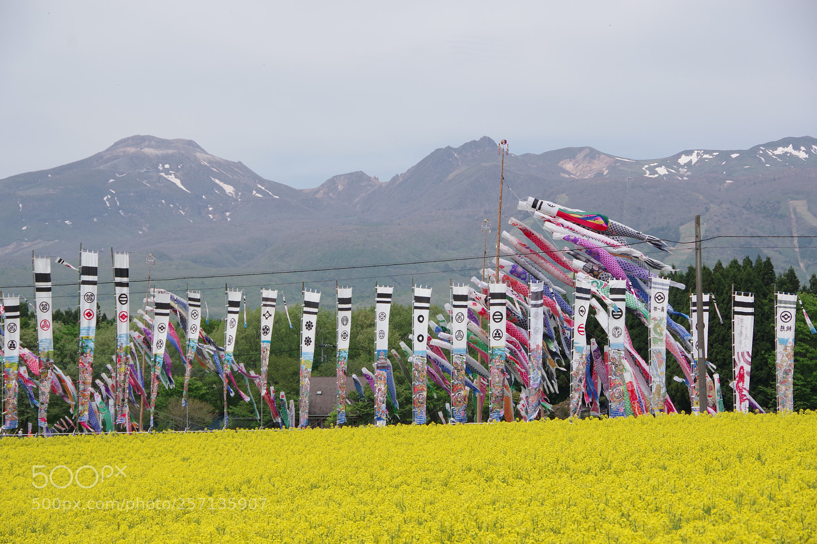 Pentax K-70 sample photo. Untitled photography