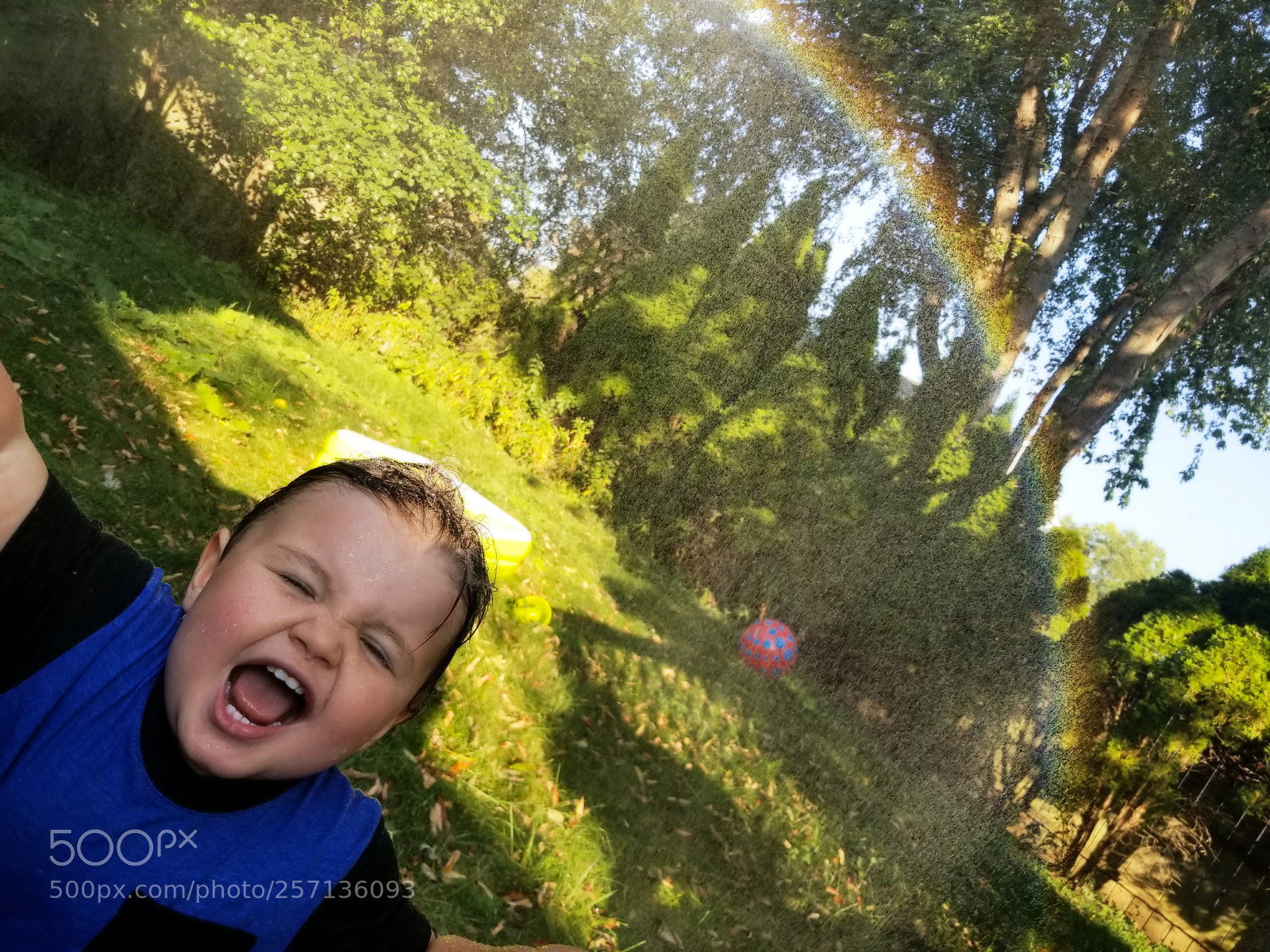 Samsung Galaxy S8 sample photo. Splendor photography