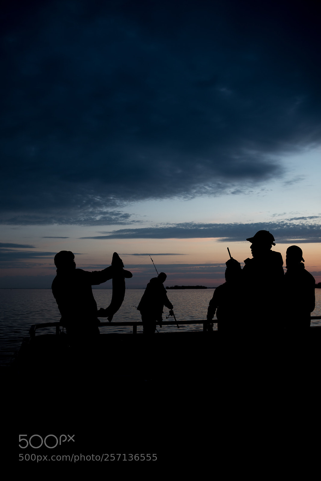 Nikon D750 sample photo. Aroundthelighthouse photography