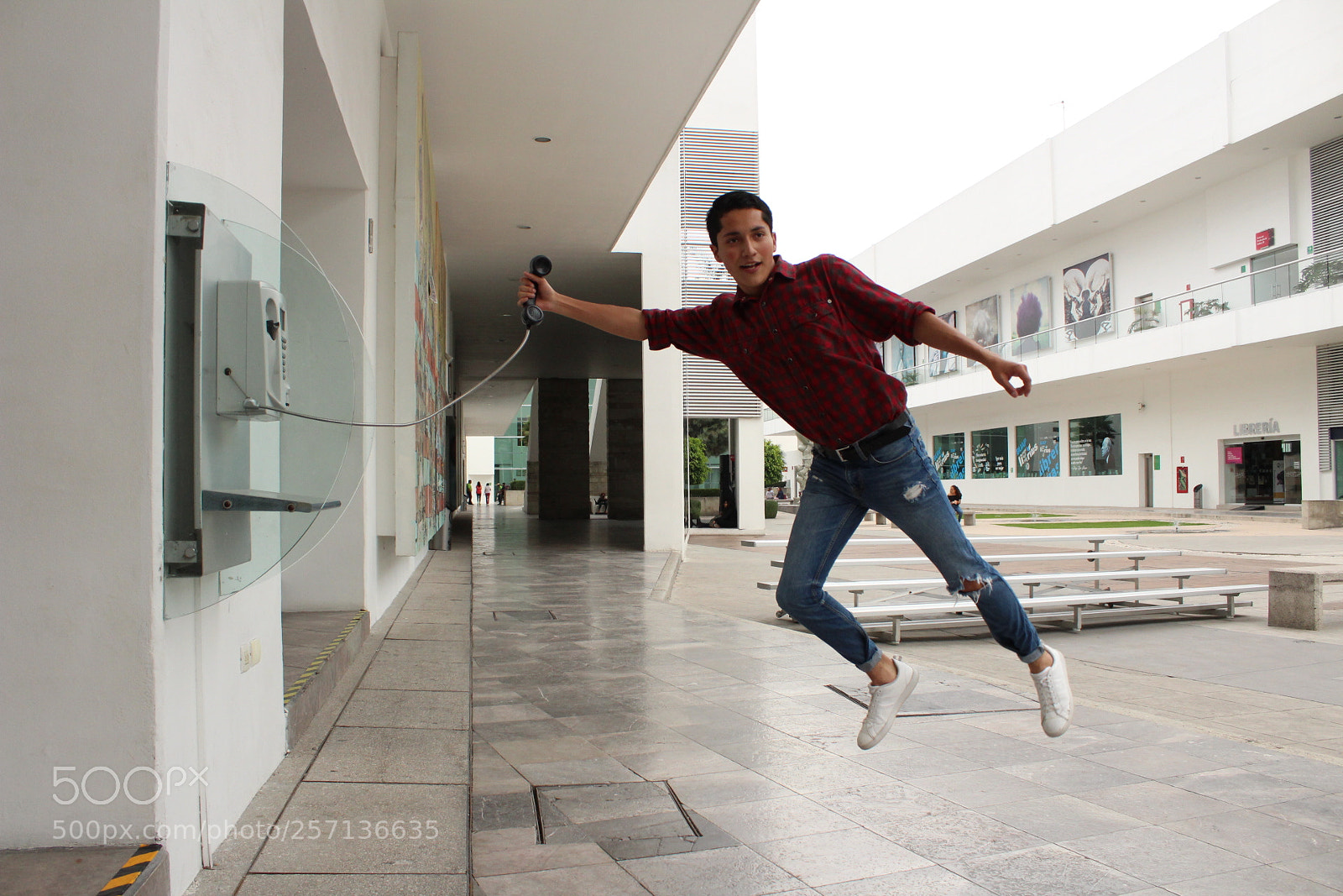 Canon EOS 1300D (EOS Rebel T6 / EOS Kiss X80) sample photo. A fleeting call photography