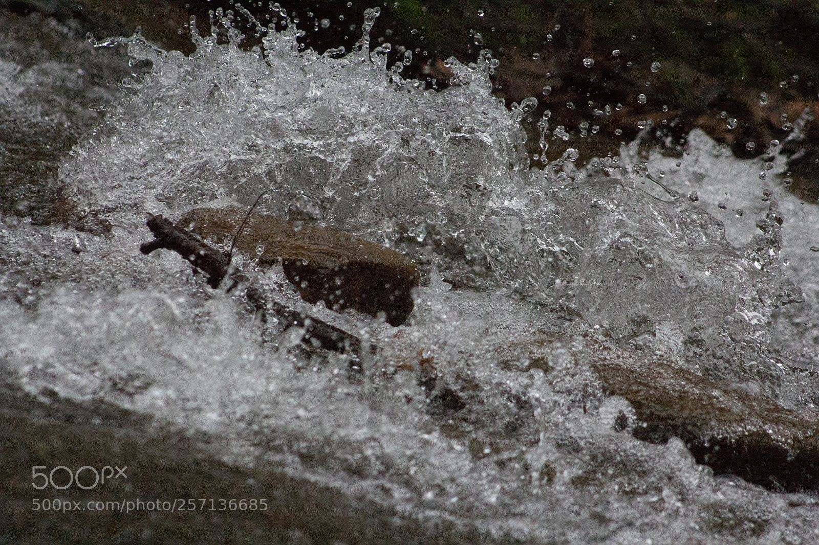 Canon EOS 60D sample photo. Water in motion photography