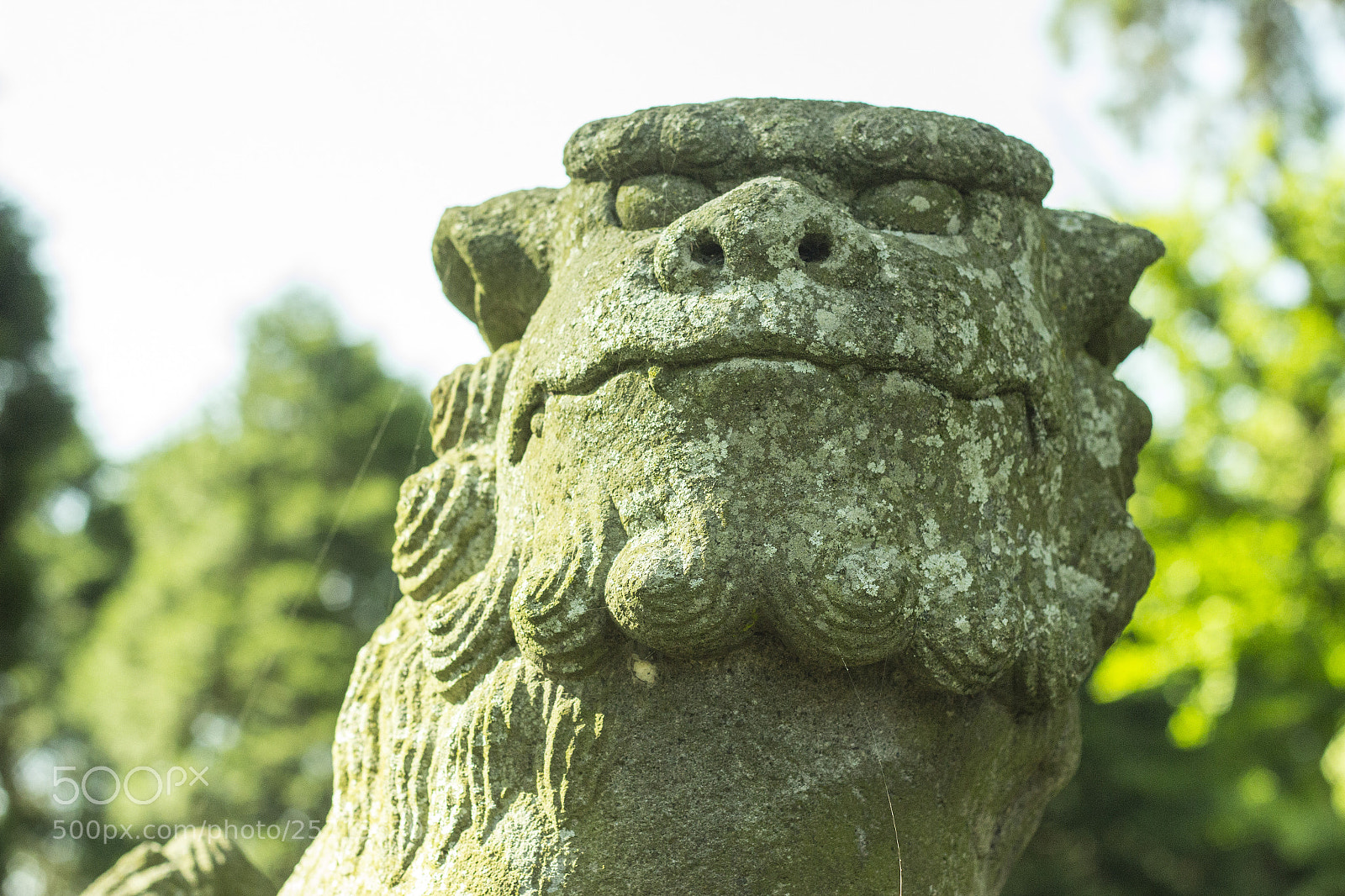 Canon EOS 600D (Rebel EOS T3i / EOS Kiss X5) sample photo. 狛犬 吽 -komainu un- photography