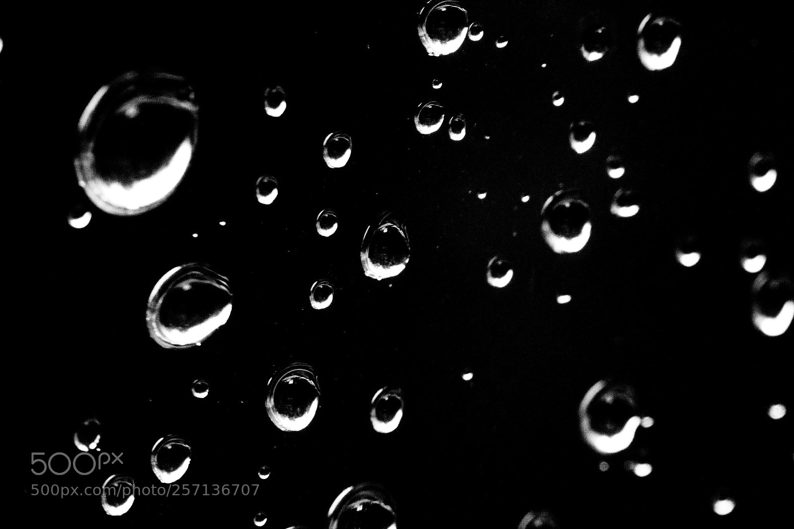 Canon EOS 60D sample photo. Droplets photography