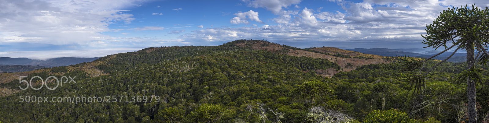 Nikon D750 sample photo. Pano photography