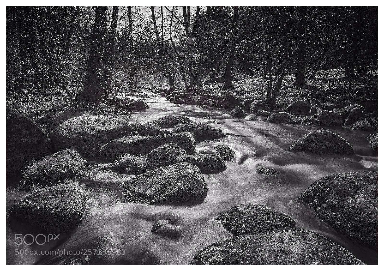 Nikon D7000 sample photo. Rocks at the creek photography