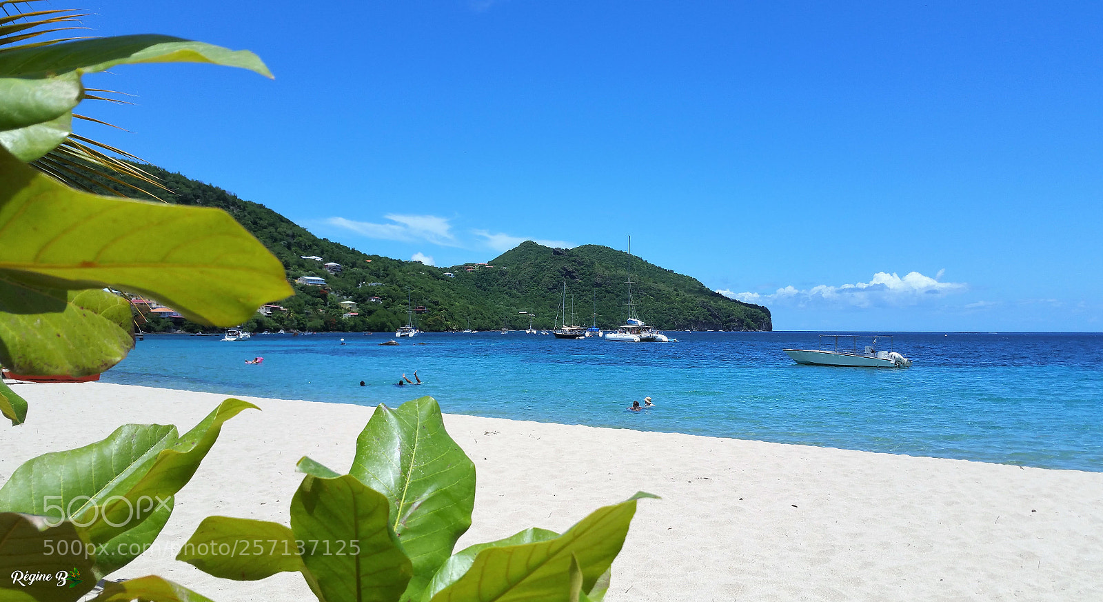 Samsung Galaxy Note4 sample photo. Anse d'arlet photography