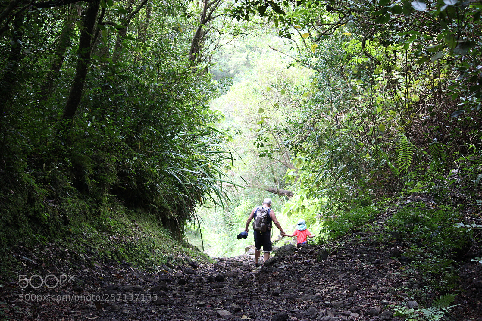 Canon EF-S 55-250mm F4-5.6 IS II sample photo. Balade en famille photography