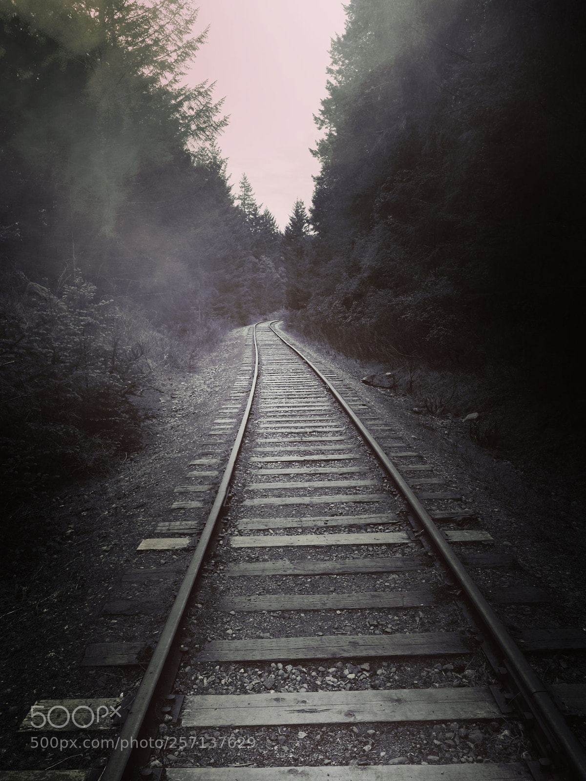 HUAWEI P10 sample photo. Railway fog photography