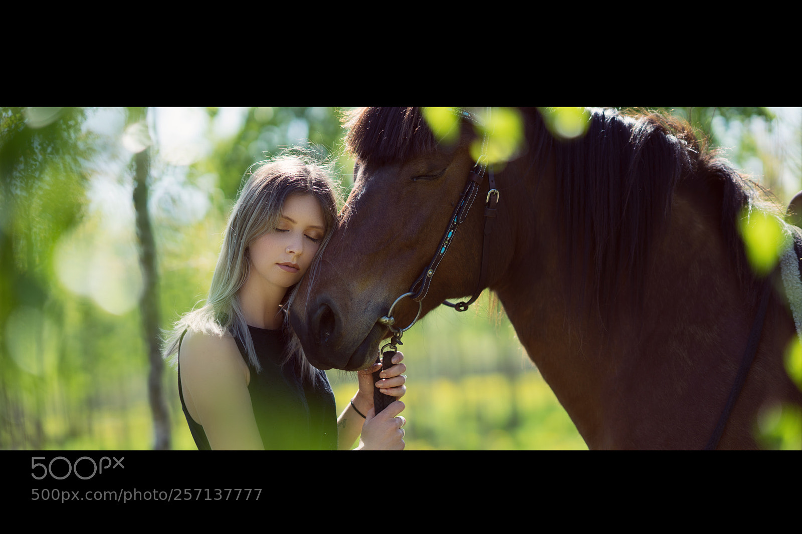 Sony a7 II sample photo. Dream photography