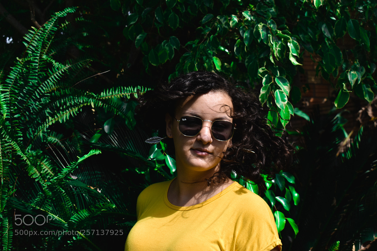 Nikon D5600 sample photo. Untitled photography