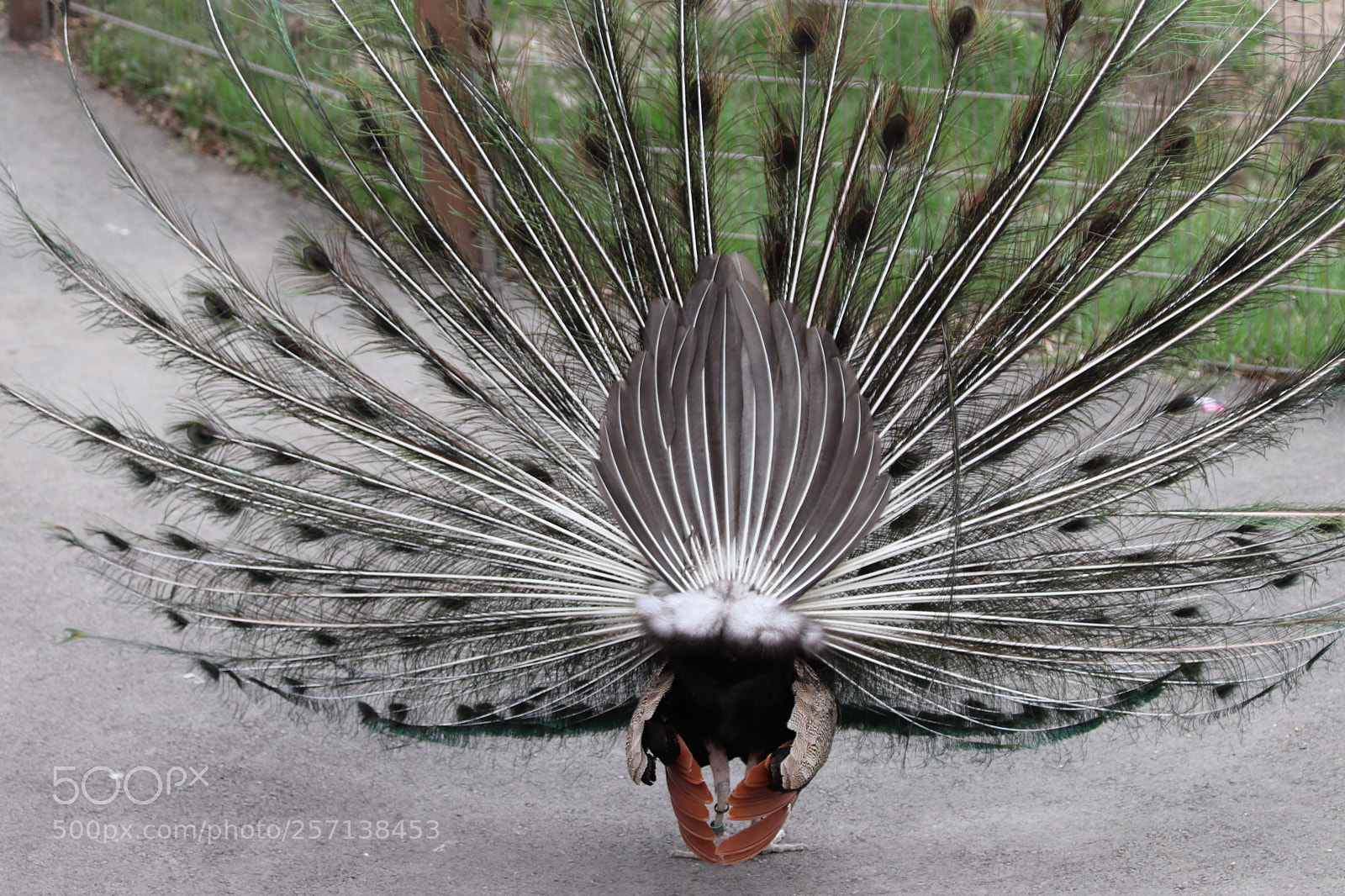 Canon EOS 77D (EOS 9000D / EOS 770D) sample photo. Behind the scenes  photography