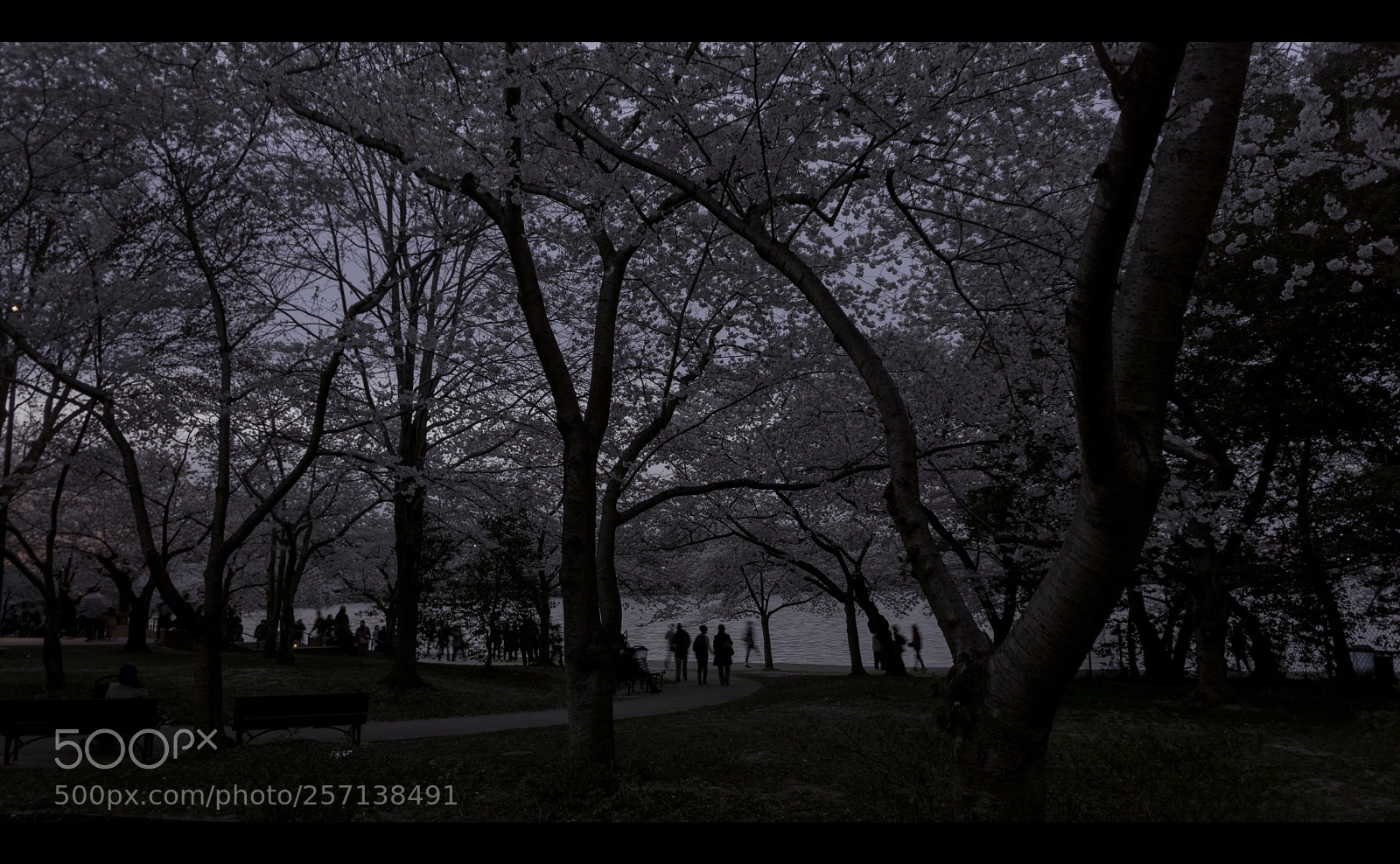 Sony a6000 sample photo. Shadows photography