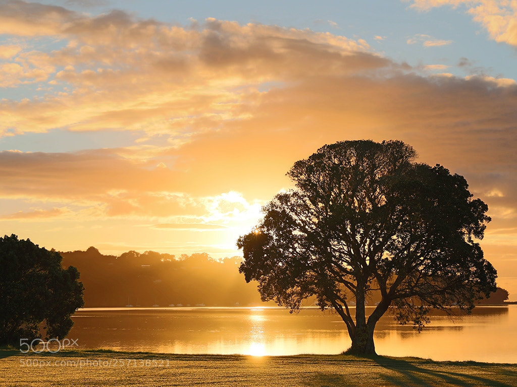 Canon EOS 6D sample photo. Whangateau, new zealand photography