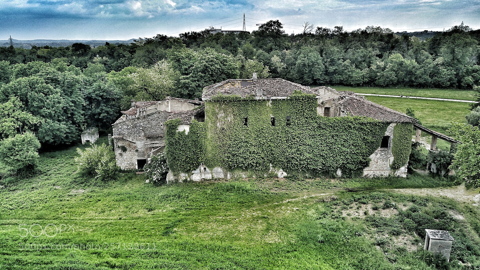DJI FC220 sample photo. Home green photography