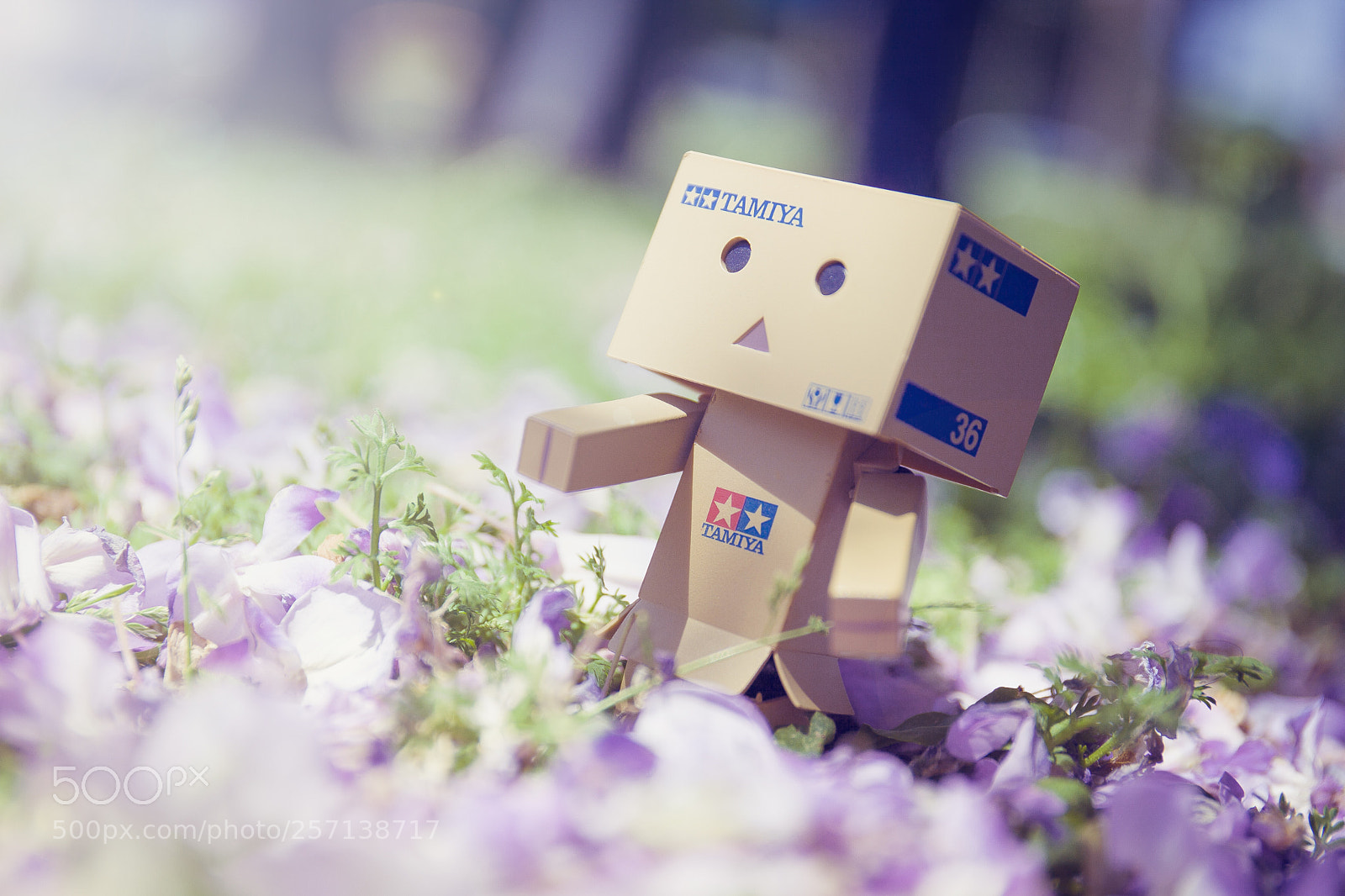 Canon EOS 5D Mark II sample photo. Untitled photography