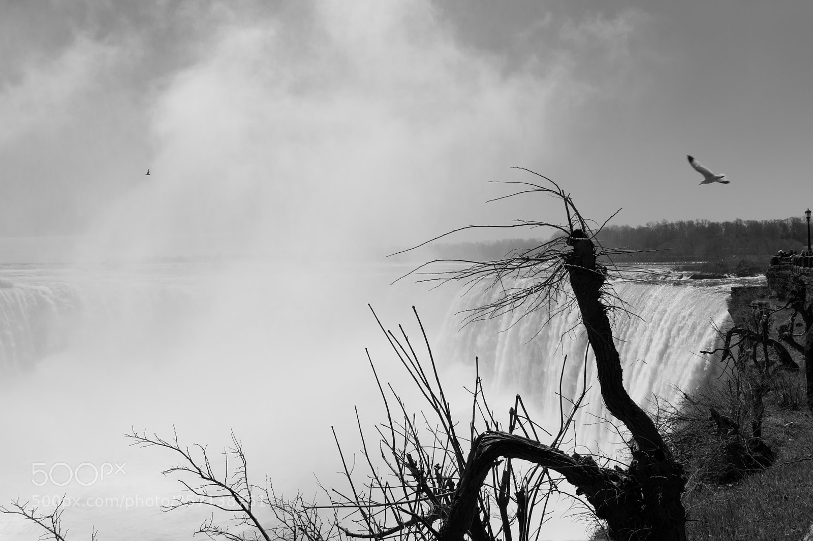 Nikon D5300 sample photo. Niagara falls photography