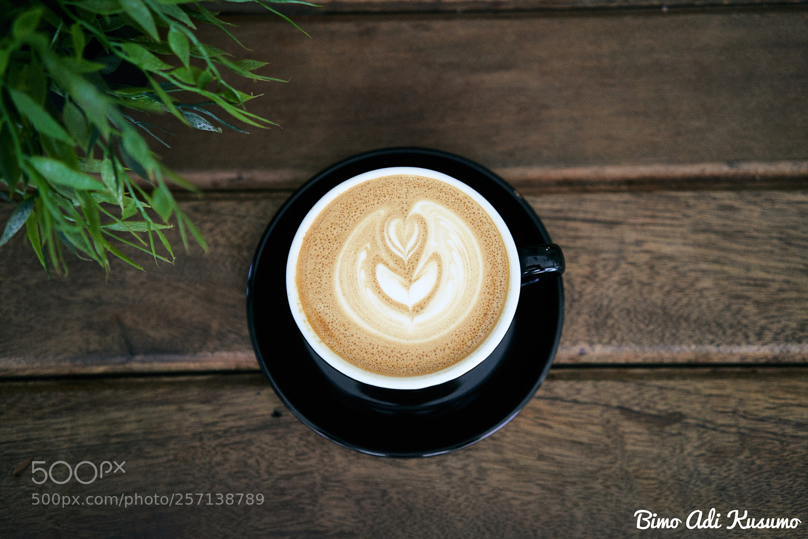 Sony a7R III sample photo. Morning drugs photography