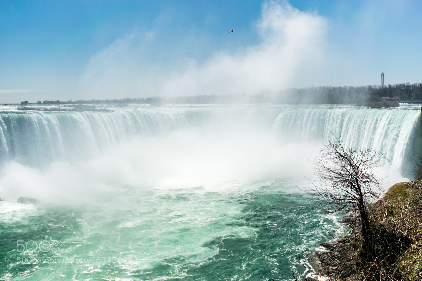 Nikon D5300 sample photo. Niagara falls photography