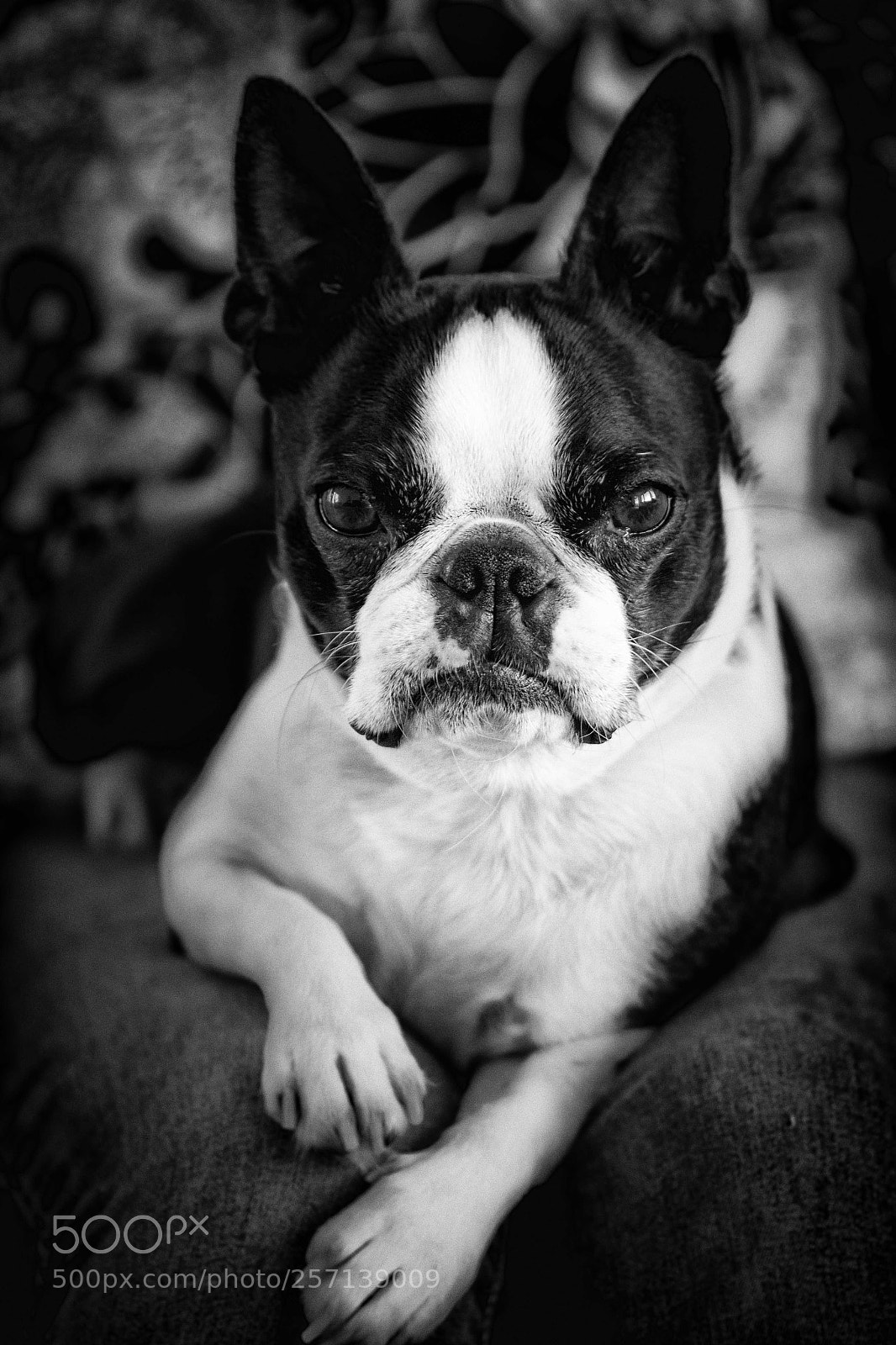 Canon EOS 7D sample photo. Relax photography