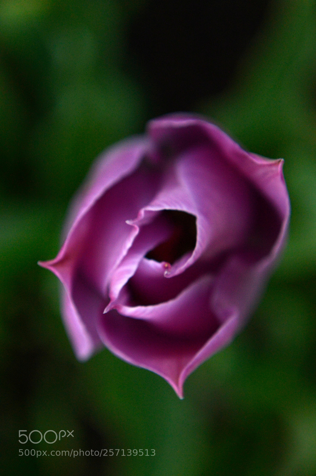 Nikon D3200 sample photo. From the top, the photography