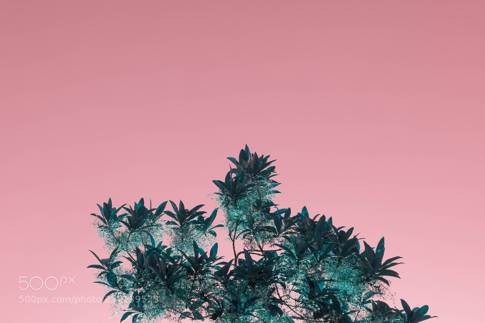 Nikon D7500 sample photo. Minimal photography
