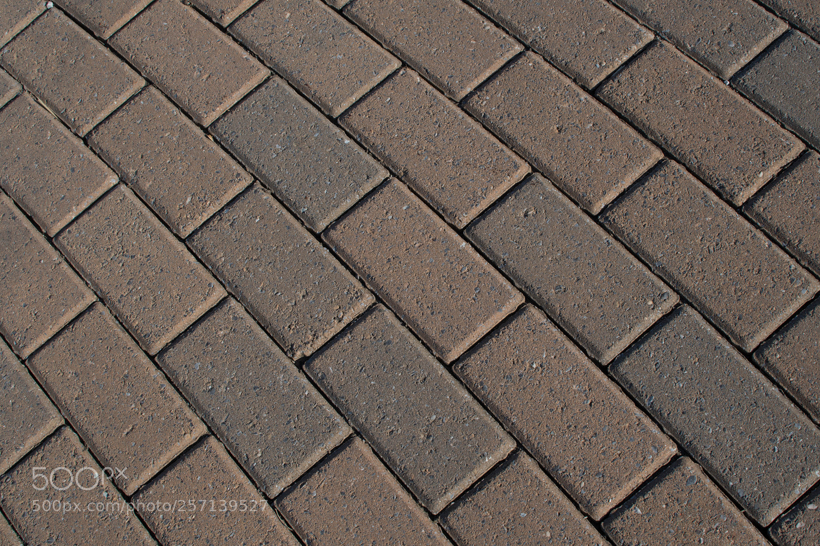 Nikon D7500 sample photo. Just texture photography