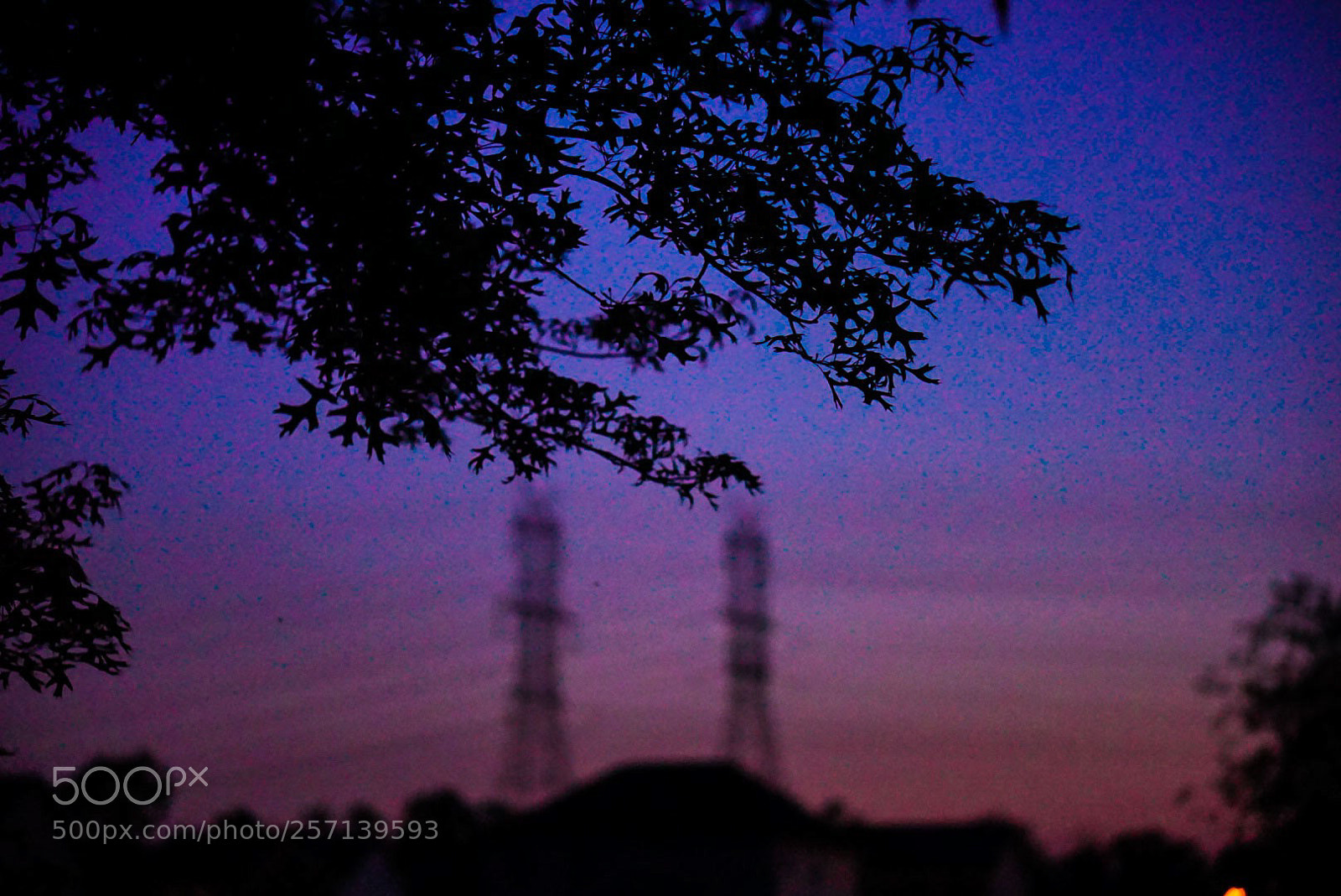 Sony a6000 sample photo. Scene from a suburban photography