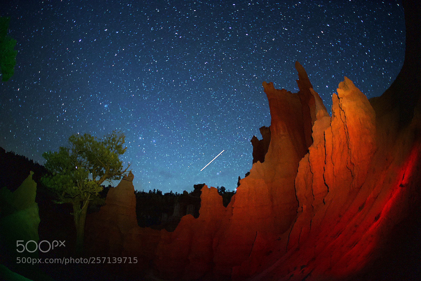 Nikon D750 sample photo. Bryce canyon utah night photography
