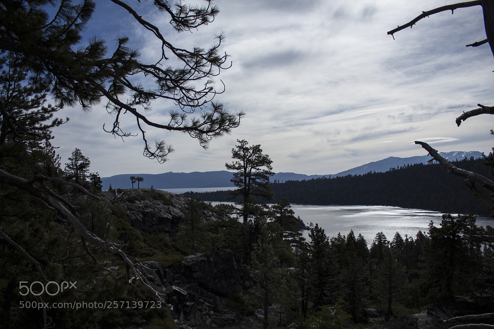 Canon EOS 700D (EOS Rebel T5i / EOS Kiss X7i) sample photo. Mg photography