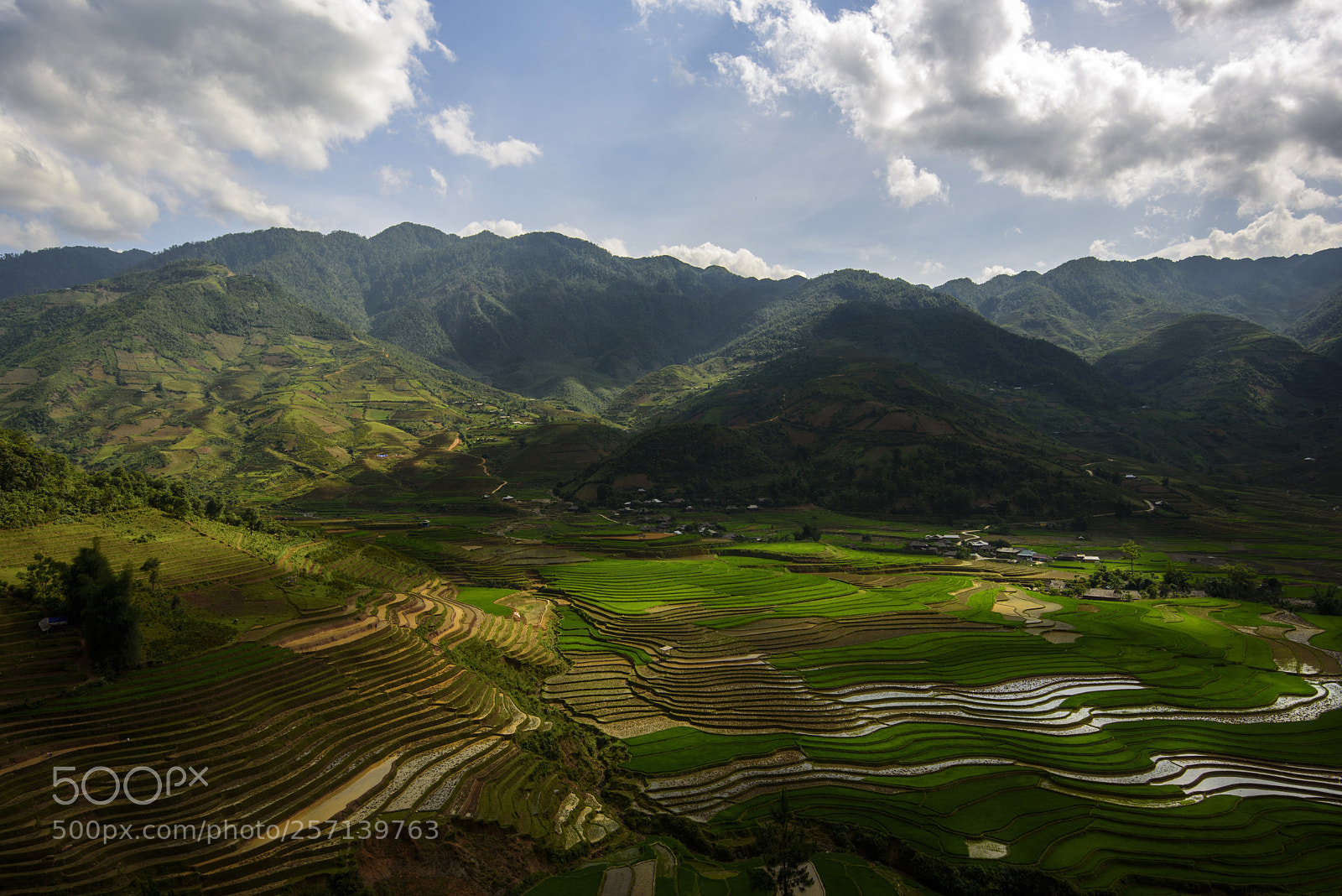 Nikon D750 sample photo. Mùa nước đổ photography