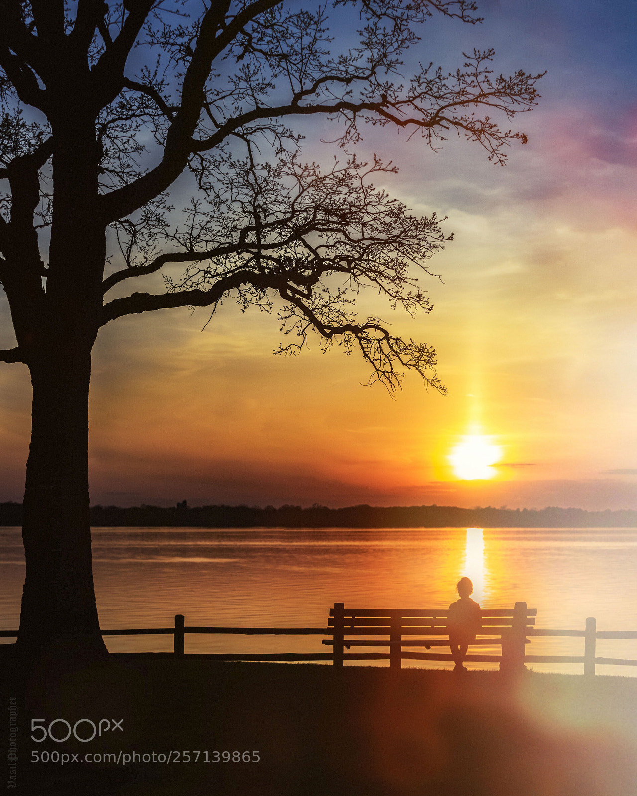 Nikon D810 sample photo. Sunset on the lake. photography