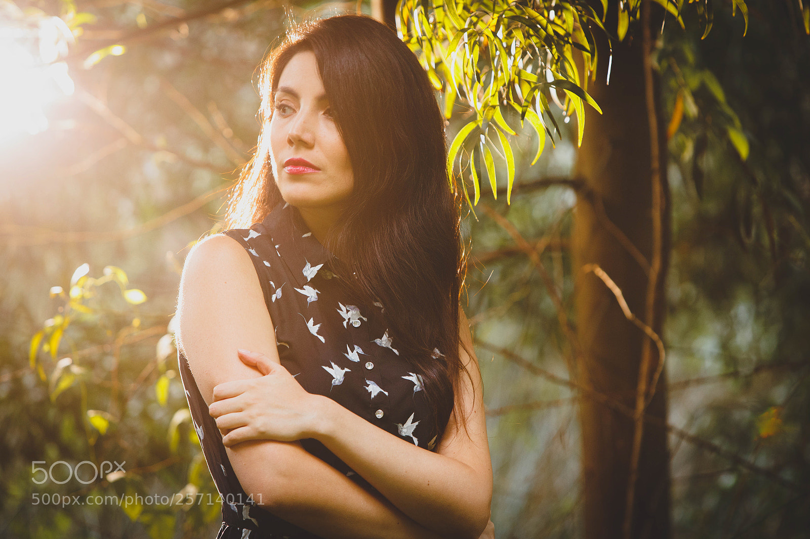 Canon EOS 6D sample photo. Untitled photography