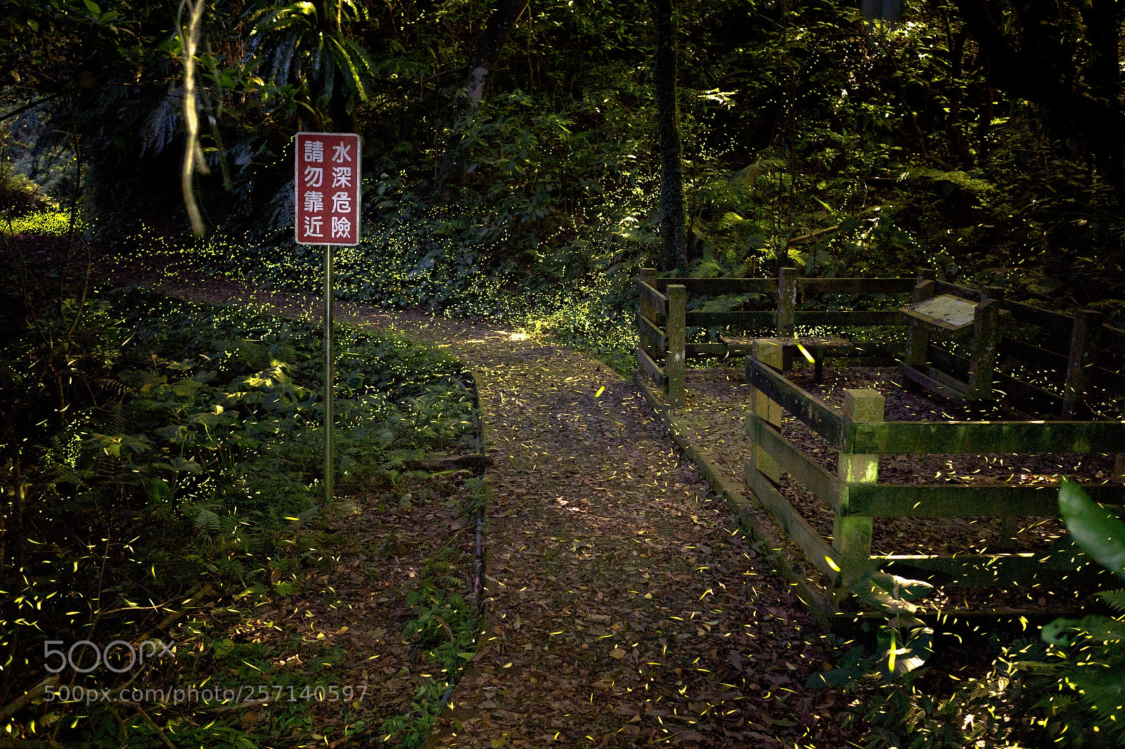 Olympus OM-D E-M1 sample photo. 密集 photography