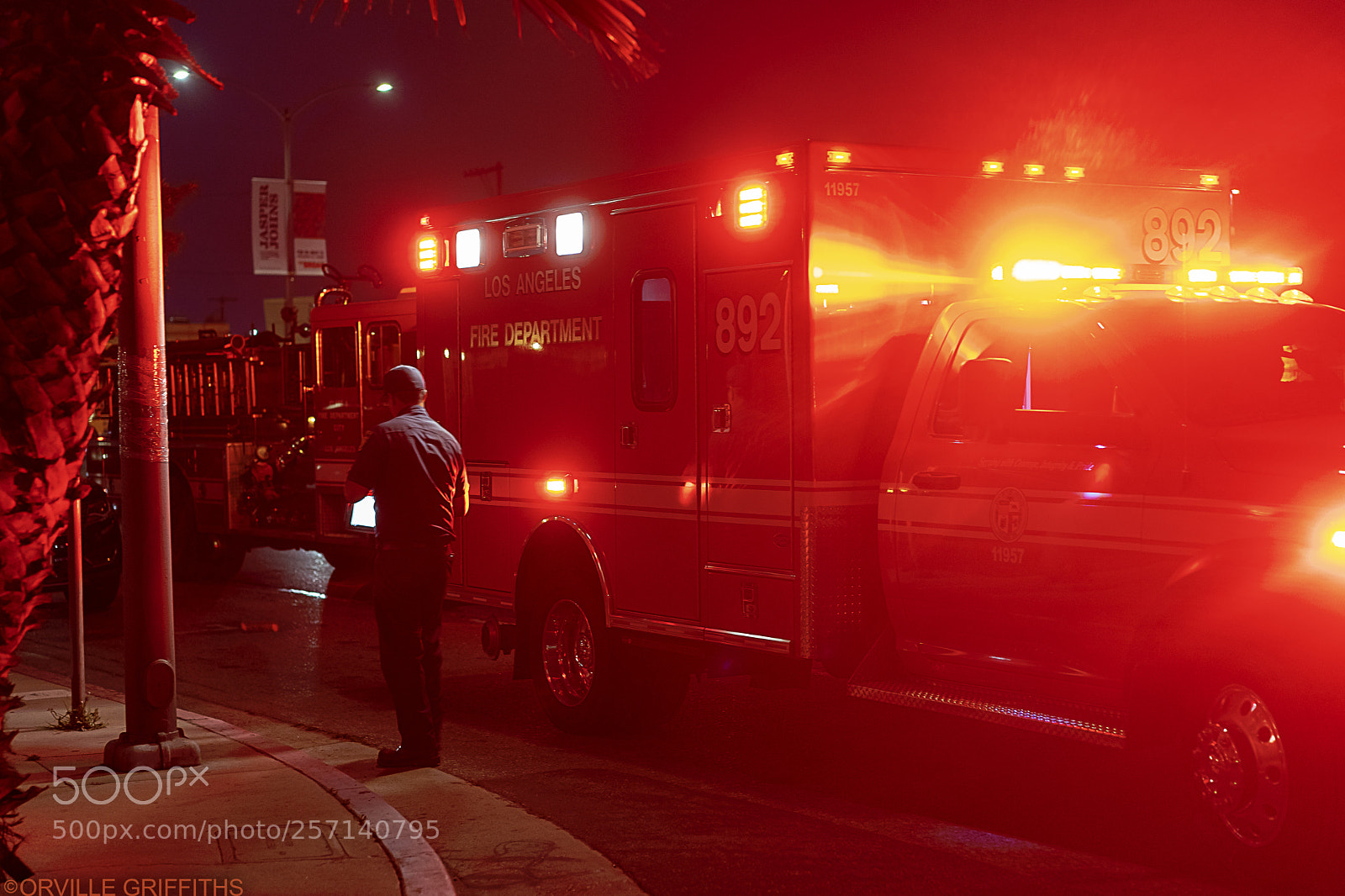 Sony a9 sample photo. Seeing**red** photography