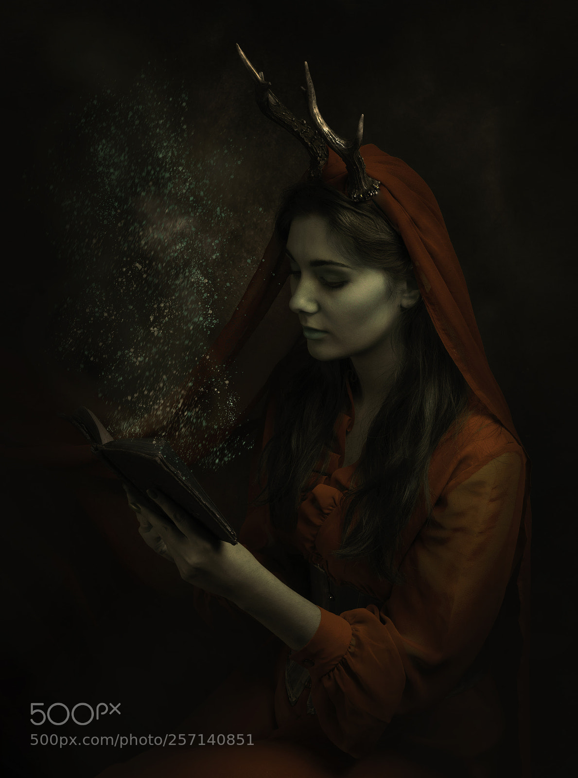 Canon EOS 1300D (EOS Rebel T6 / EOS Kiss X80) sample photo. Untitled photography