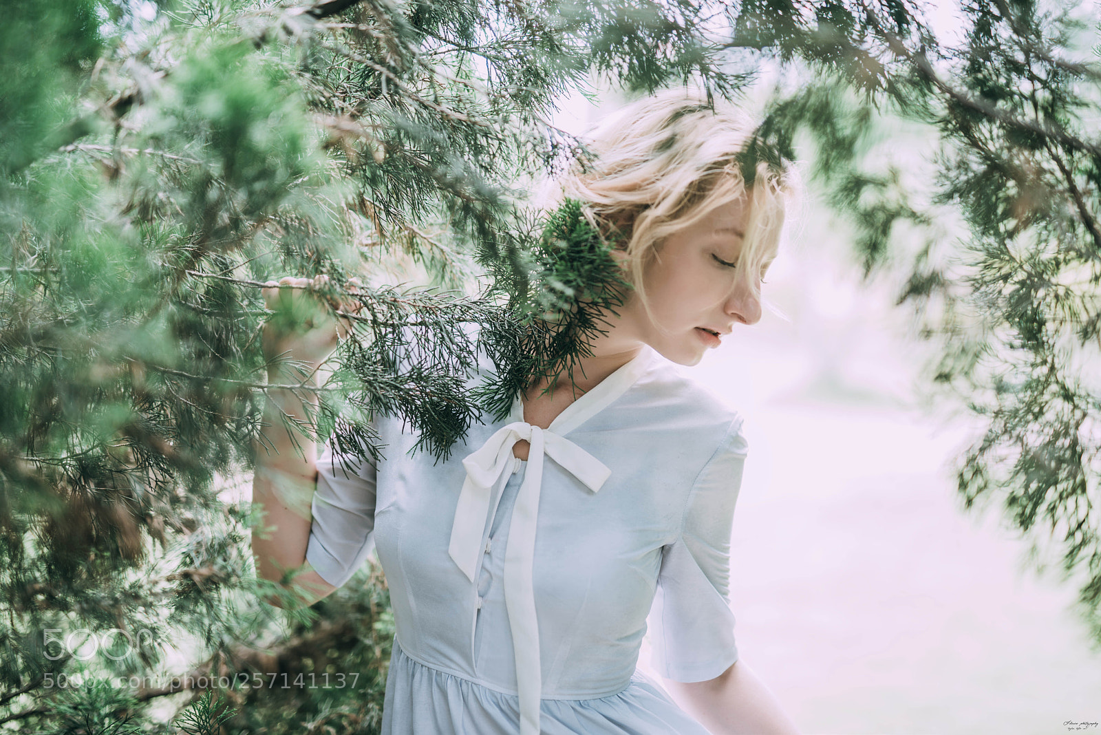 Nikon D810 sample photo. Untitled photography