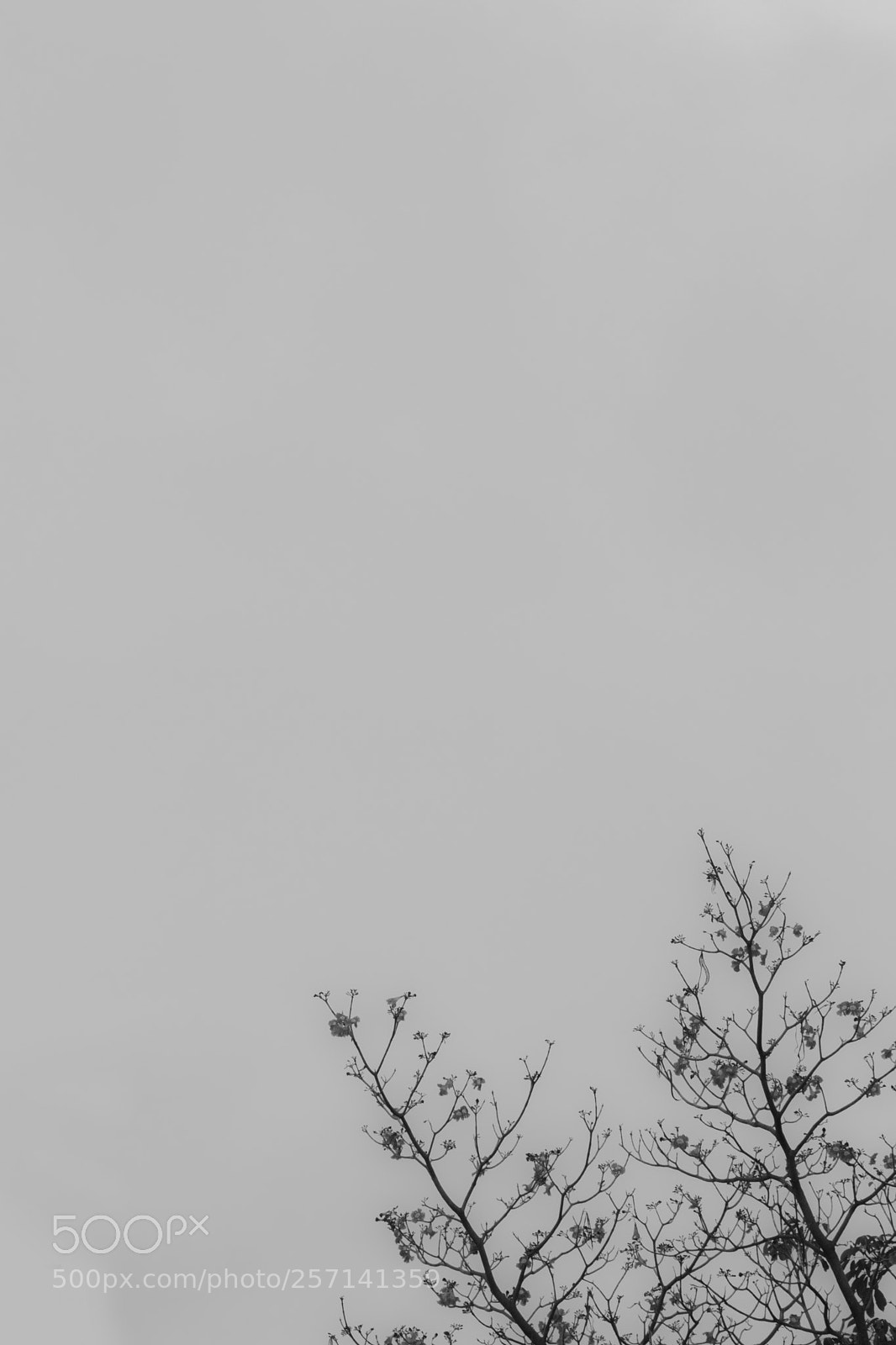 Nikon D3300 sample photo. "common place" photography