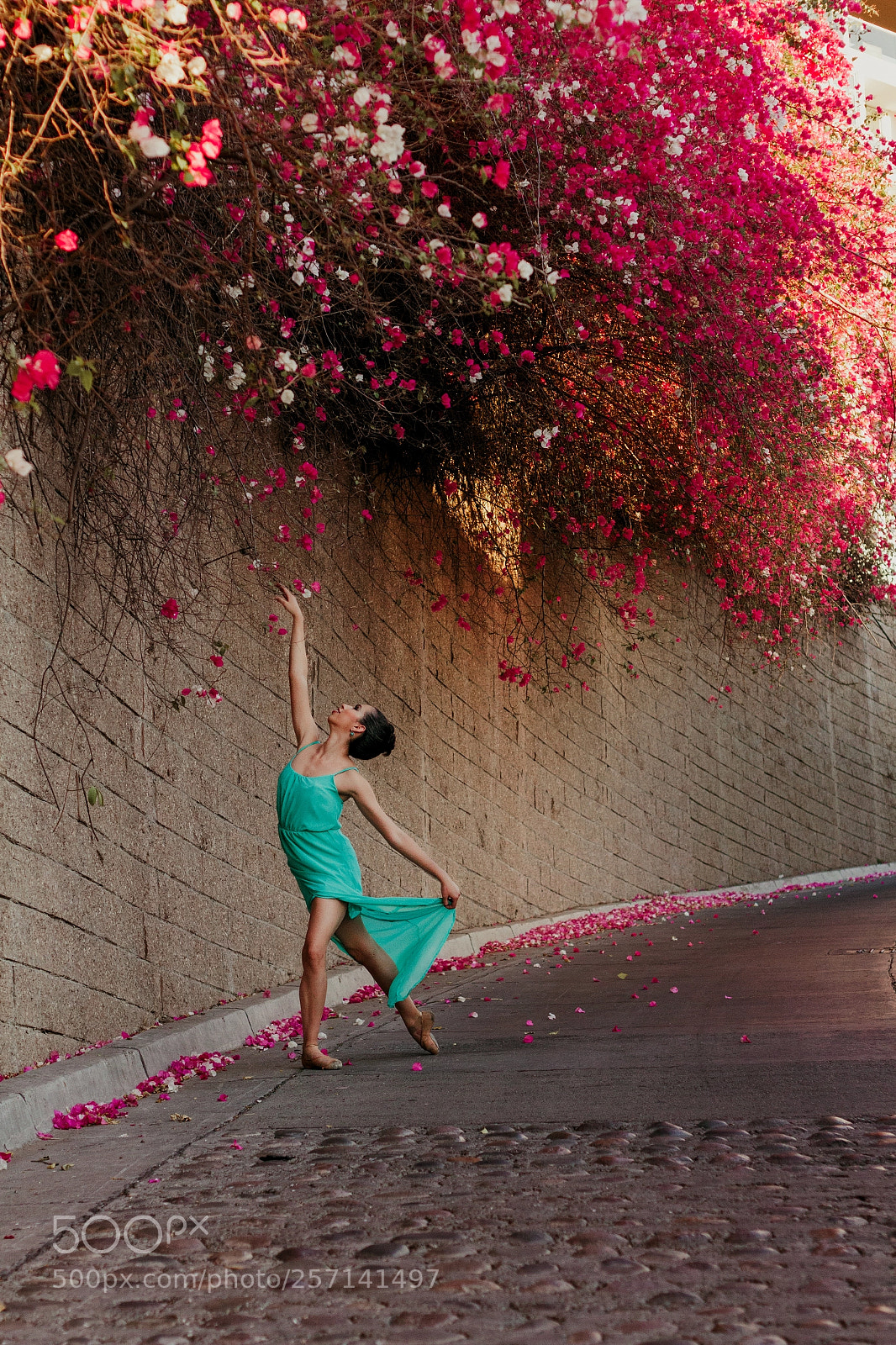 Canon EOS 7D sample photo. Andres photography
