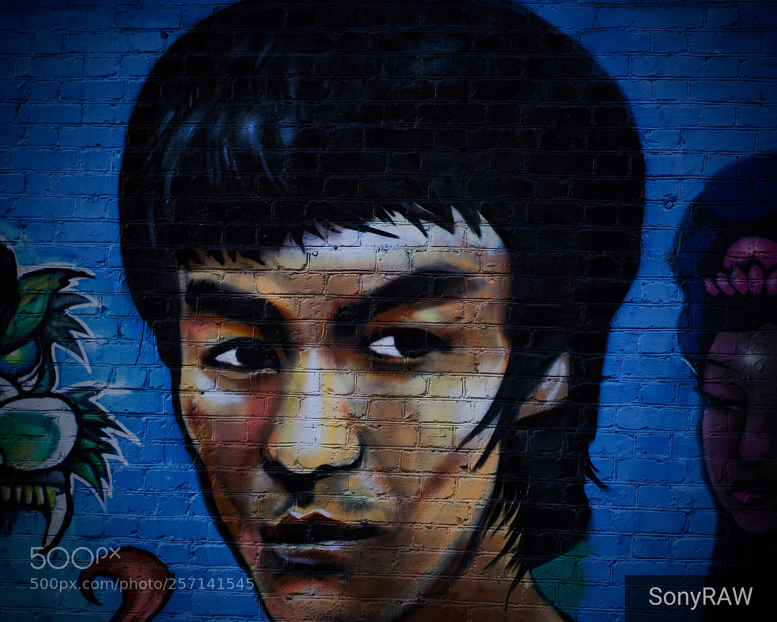 Sony a6500 sample photo. Bruce lee street art photography
