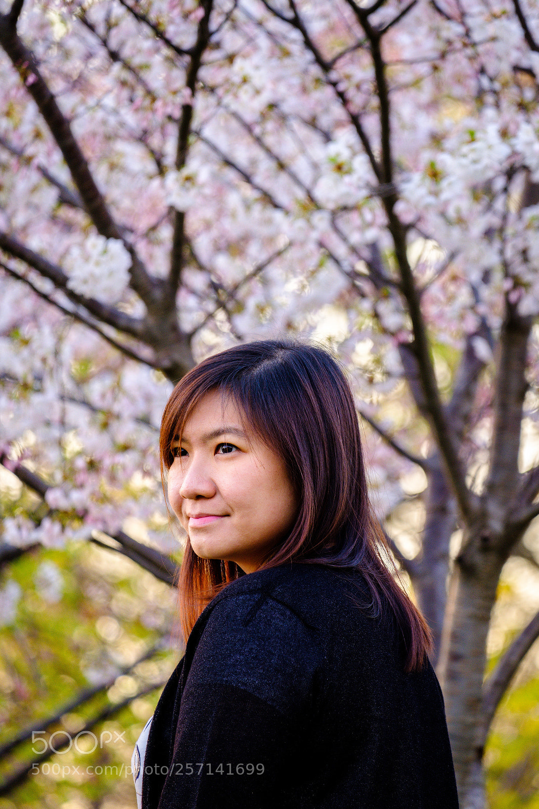 Fujifilm X-T2 sample photo. Cherry blossoms smile photography