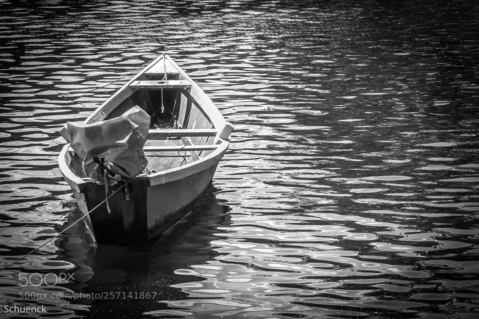 Canon EOS 70D sample photo. Paquet - rio de photography