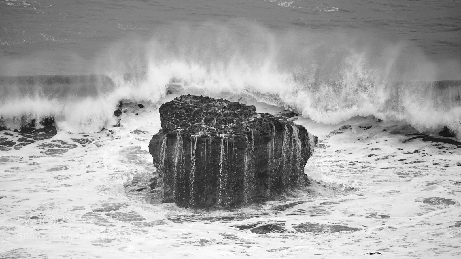 Nikon D3000 sample photo. Rock at the pacific photography